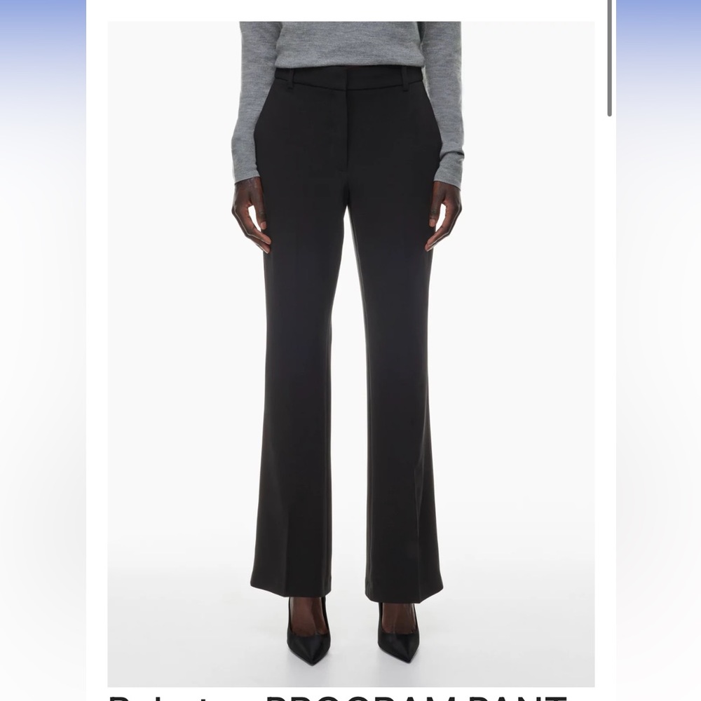 Babaton PROGRAM PANT Aritzia US 10